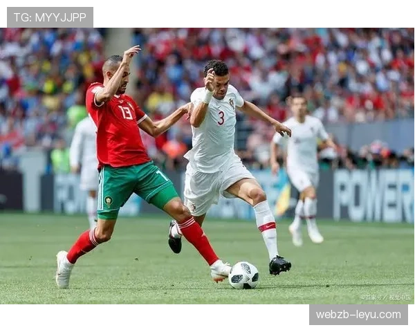 格罗宁根防线稳固性引发关注,地区安全议题再成焦点