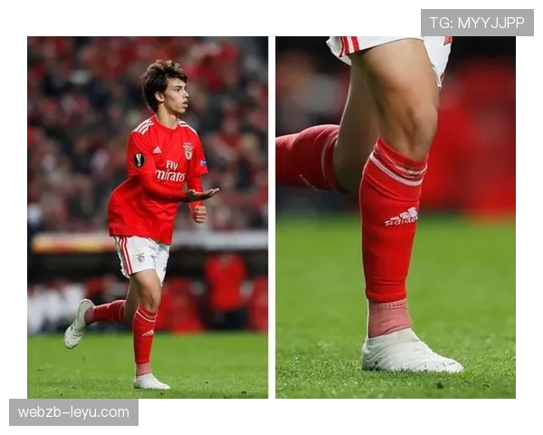 菲利克斯穿着拖鞋进俱乐部包厢,手里拿的居然不是球鞋谁能想到啊 菲利克斯穿着拖鞋进俱乐部包厢,手里拿的居然不是球鞋谁能想到啊